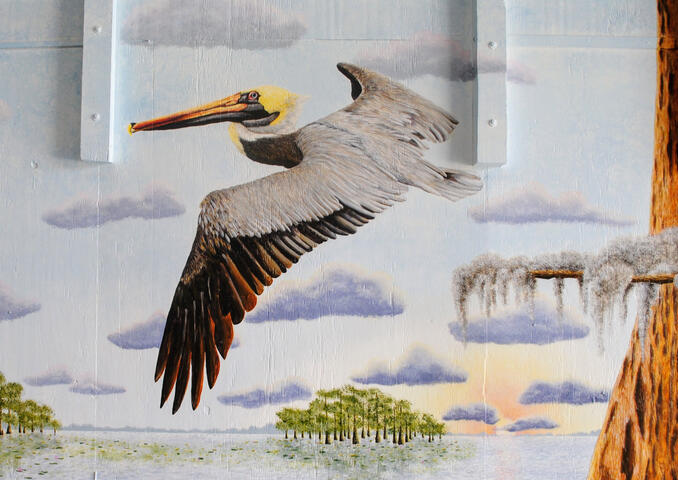 Brown Pelican - 8 ft x 6 ft