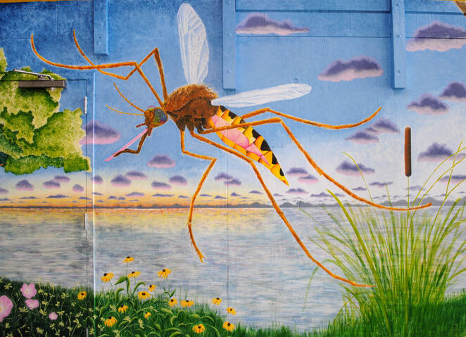 Mosquito - 12 ft x 12 ft